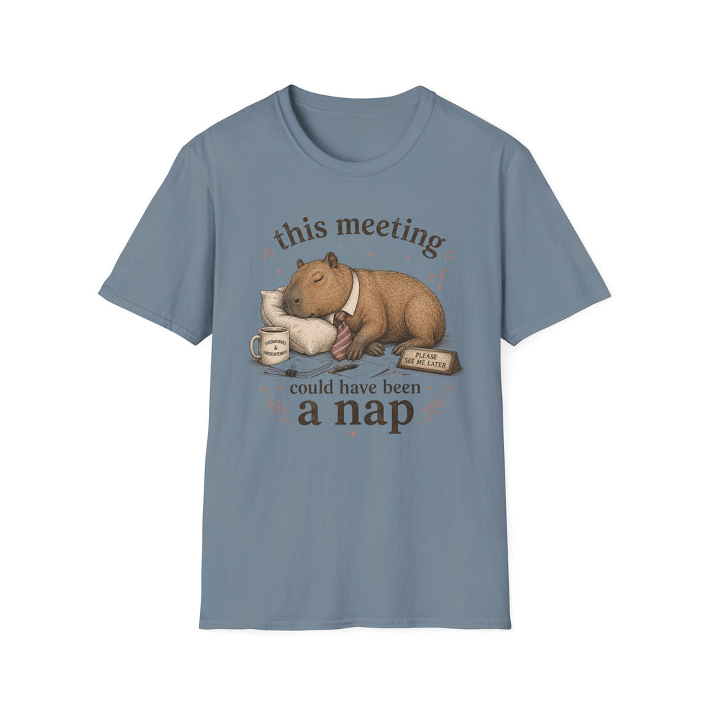 Meeting Could Have Been Nap T-Shirt