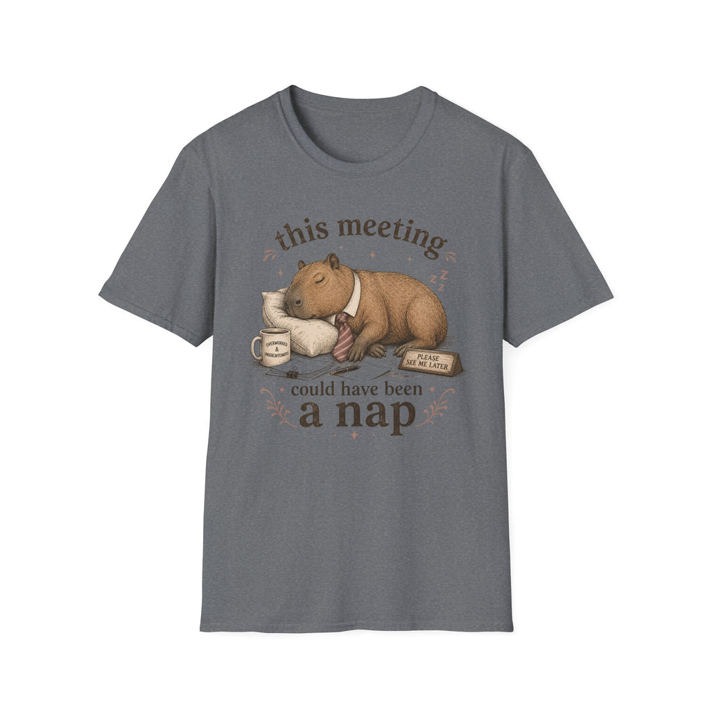 Meeting Could Have Been Nap T-Shirt