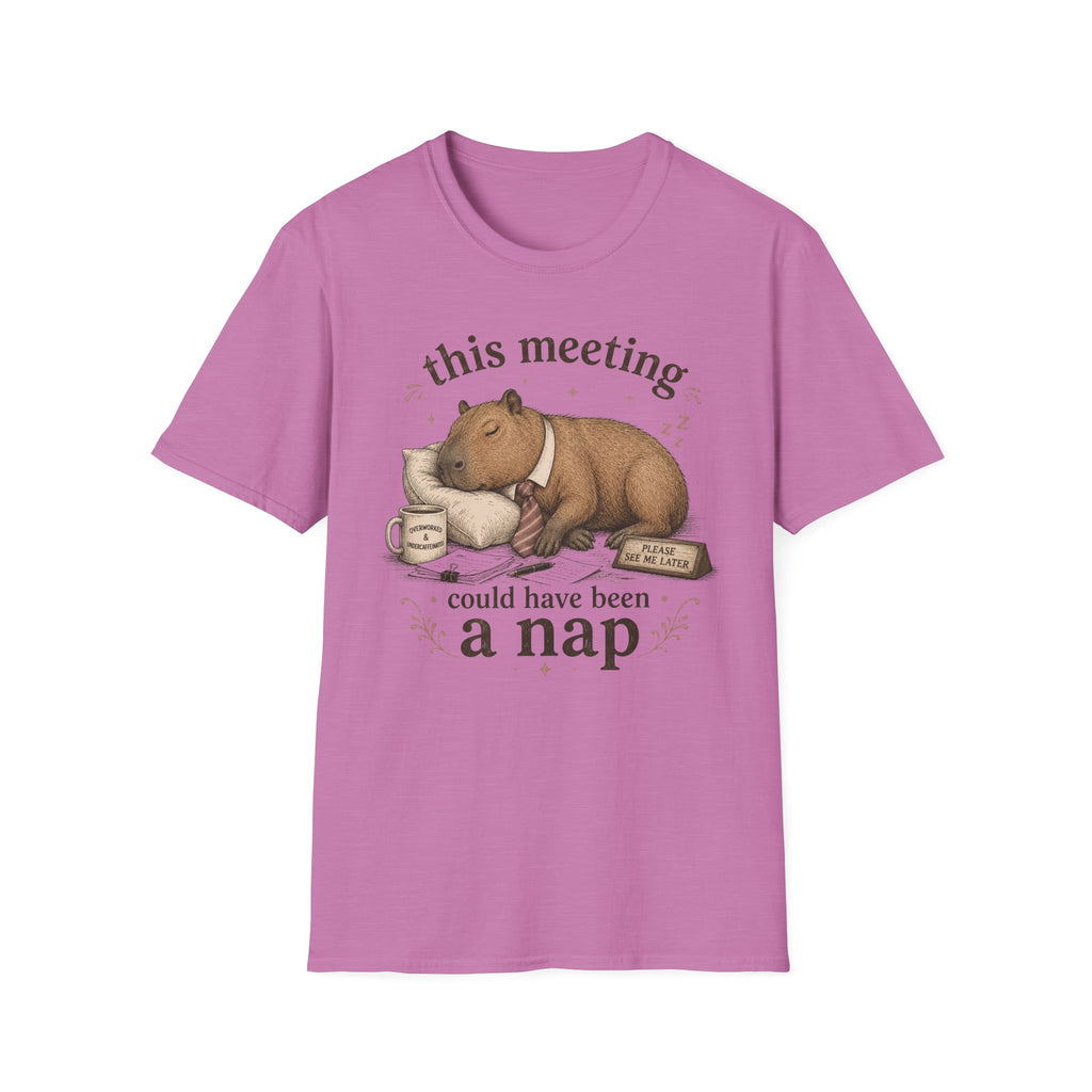 Meeting Could Have Been Nap T-Shirt