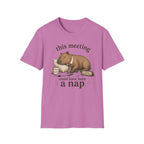 Meeting Could Have Been Nap T-Shirt