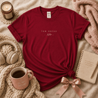 Low Noise introvert graphic t-shirt cozy flat lay in antique cherry red.