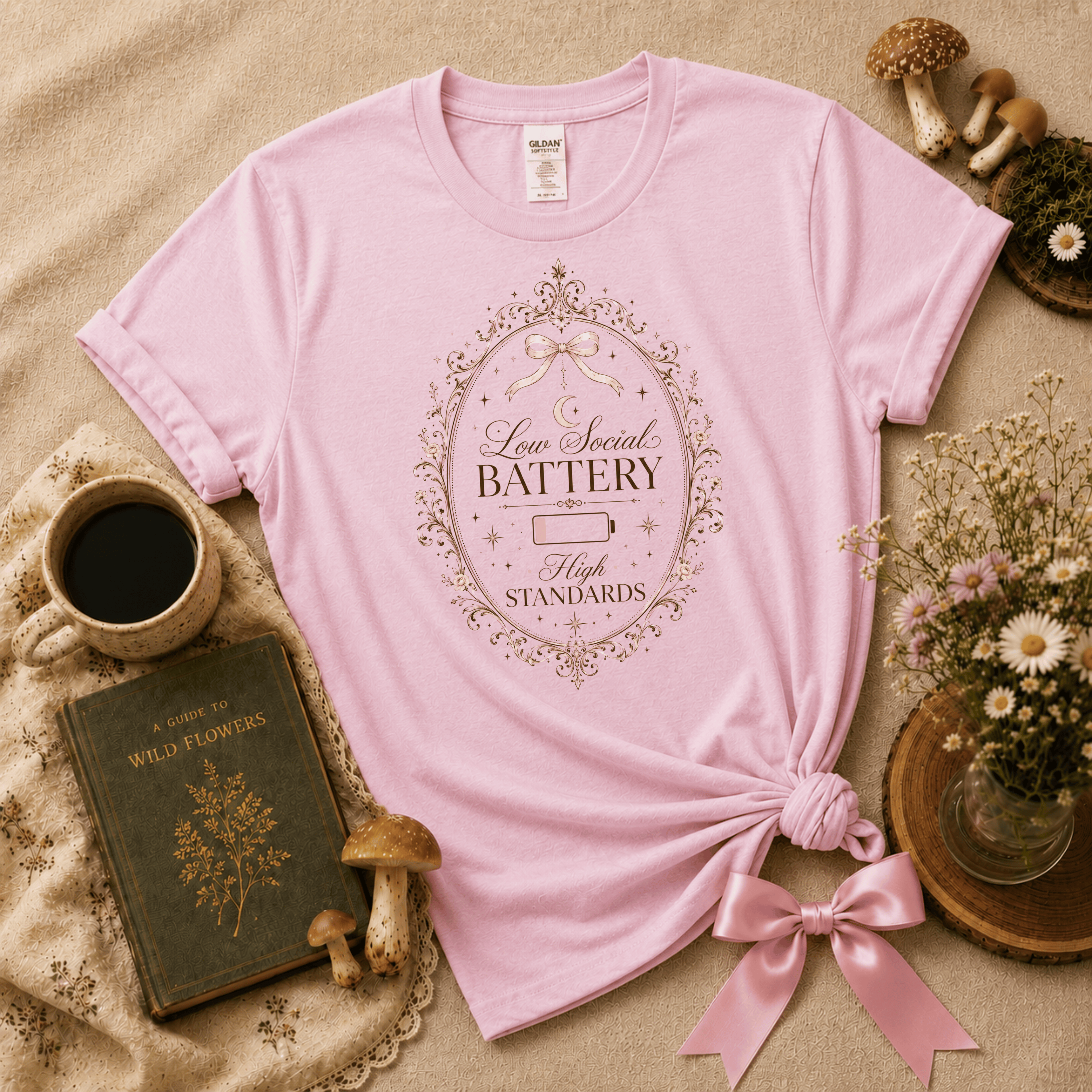 High Standards | Cottagecore Graphic T-Shirt