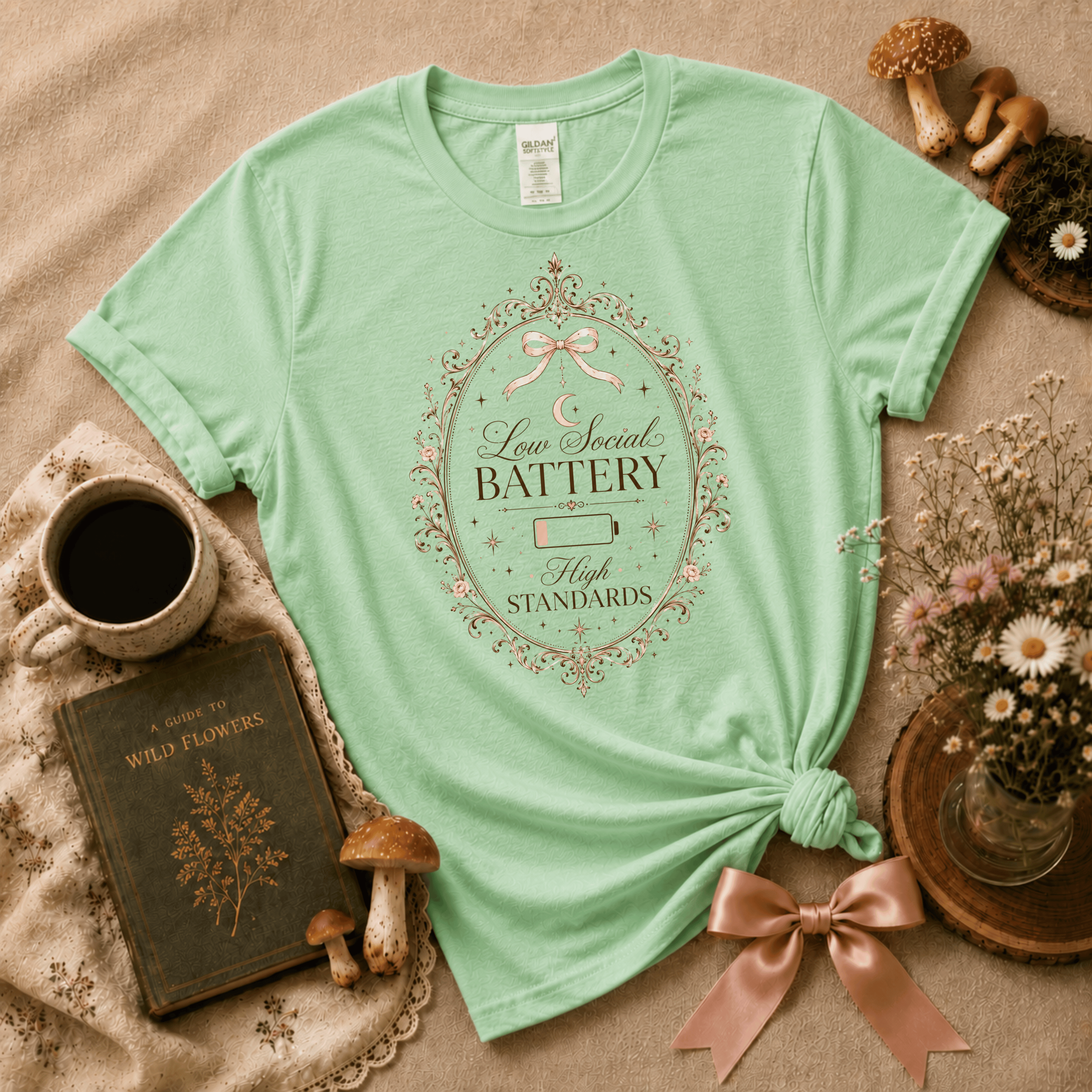High Standards | Cottagecore Graphic T-Shirt
