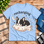 Recharging Boston Premium T-Shirt in baby blue, flat lay