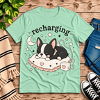 Recharging Boston Premium T-Shirt in mint, flat lay